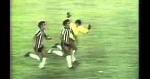 Botafogo 1 x 0 Fluminense Brasileiro 1977