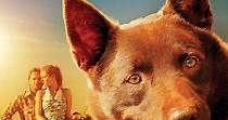 Red Dog, una historia de lealtad - película: Ver online