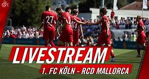 Livestream: 1. FC Köln – RCD Mallorca | 1. FC Köln