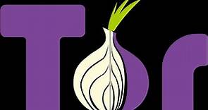 TOR WEB BROWSER DESCARGAR E INSTALAR