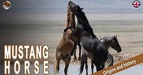 MUSTANG HORSE, the emblematic wild horses of the United States, ORIGIN OF THE BREEDS