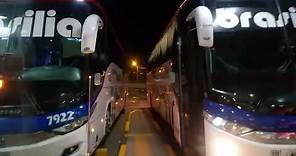 Expreso Brasilia Como es su servicio y como son sus buses? Montería Coveñas