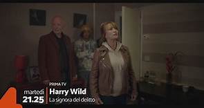 Promo: Harry Wild - La signora del delitto Video | Mediaset Infinity