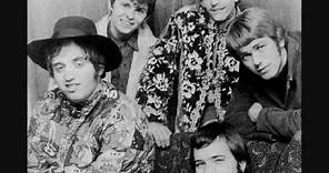 The Electric Prunes I Had Too Much To Dream Last Night