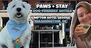 Paws + Stay: Kimpton Hotel George | A Dog-Friendly Hotel | Washington, DC