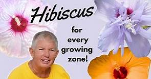 Hibiscus for Every Growing Zone | Different Types of Hibiscus