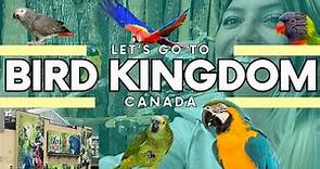 Bird Kingdom Niagara Falls Tour🦜👀
