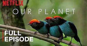 Our Planet | One Planet | FULL EPISODE | Netflix