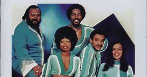 The 5th Dimension - Playlist: The Very Best Of The 5th Dimension