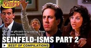 A Guide To Seinfeld-isms: Part 2 | Seinfeld