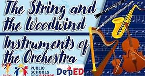 The String and the Woodwind Instruments of the Orchestra | GRADE 6 MUSIC LESSON