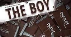 The Boy (2013) Online - Película Completa en Español / Castellano - FULLTV
