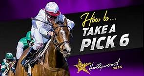Horse Racing Tips: The Ultimate Pick 6 Guide | Hollywoodbets Blog