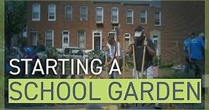 Guide to Starting a School Garden