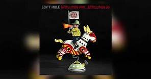 Gov't Mule - "Revolution Come... Revolution Go"