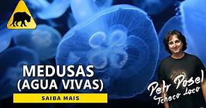 Medusas - Água Viva