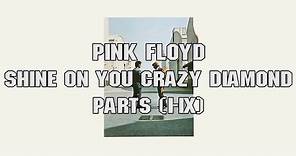 Pink Floyd - Shine On You Crazy Diamond - 5.1