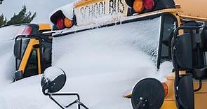Is your school closed? More than 100 Chicago area schools, libraries closed amid winter snowstorm