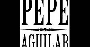 Pepe Aguilar- Tu pelo