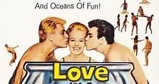 Escondite de amor (1961) Online - Película Completa en Español - FULLTV