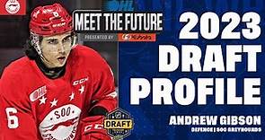 2023 NHL Draft Spotlight: Andrew Gibson (Soo Greyhounds)