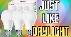 Full Spectrum Light Bulb Review: Experience Natural Sunlight with 6000K LED Bulbs - 3 Pack