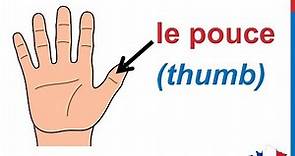French Lesson 31 - BODY VOCABULARY Finger names - Les doigts de la main Dedos de la mano en francés