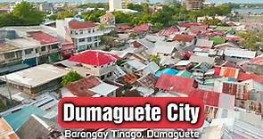 Dumaguete City Rizal Boulevard an Aerial Footage #aerialtour #aerialfootage