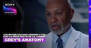 Grey's Anatomy 19X10: El mejor consejo de Richard Webber | Sony Channel