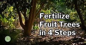 Mastering Fruit Tree Fertilization in a Food Forest or Home Garden