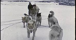 An Inuit/Eskimo family in the Arctic 1959