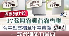 【消委會】推薦4款中型無霜雪櫃　「金章」全年電費僅257元「三菱電機」冷卻能力最好 - 香港經濟日報 - TOPick - 新聞 - 社會