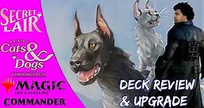 It's Raining Cats and Dogs Opening, Review, and Upgrade | Commander | Secret Lair