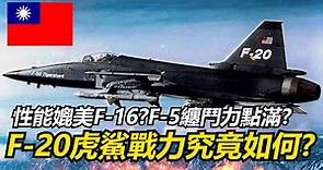 【瘋聊軍事】國軍曾經差點買到的F-20虎鯊戰鬥機，戰力真的能媲美F-16並輾壓蘇聯機嗎? | FX計畫 | F16/79&F-5G | F-20虎鯊 | 最可惜的輕型戰機 |
