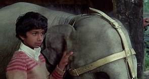 Anoop and the Elephant (1972)