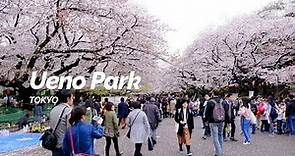 Ueno Park, Tokyo | Japan Travel Guide