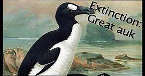 Extinction of the Great Auk