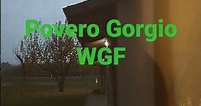 Giorgio wgf e morto😭