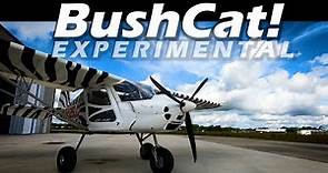 Kitplane! Skyreach Bushcat Aircraft - You Can Build and Afford FAST!