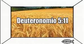 Deuteronomio Capítulo 5 Versículo 11