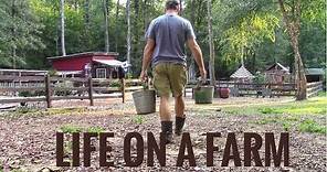 Life On A Farm - Morning & Evening Chores - Our Daily Homestead Routine