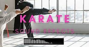 Karate Sound Effects No Copyright (Punches, Kicks, Whoosh, Voices)