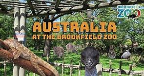 Australia at the Brookfield Zoo | Exhibit Tours Ep. 33
