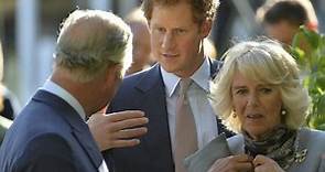 «Principe Harry non è il figlio di Re Carlo?» Spunta la lettera choc di Lady Diana sul padre biologico