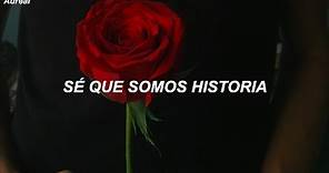 OneRepublic - Somebody To Love (Traducida al Español)