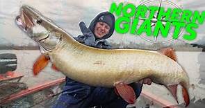 Our Fishing Dreams Come True!! -- North Woods Big Fish MADNESS