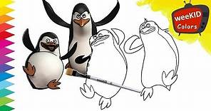 Madagascar 3 | Penguins Of Madagascar | Learn Colors | Coloring Pages