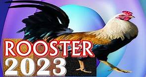 Rooster Horoscope 2023 |❤| Born 2017, 2005, 1993, 1981, 1969, 1957, 1945, 1933