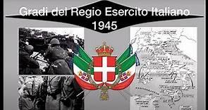 Gradi e Qualifiche Regio Esercito Italiano (1945)