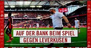POV: Der BESTE PLATZ im RheinEnergieSTADION | Bundesliga | 1. FC Köln – Leverkusen